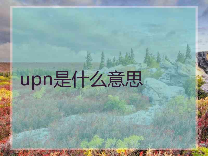 upn是什么意思