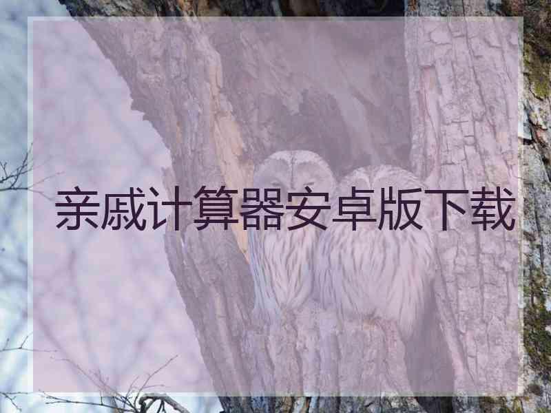 亲戚计算器安卓版下载
