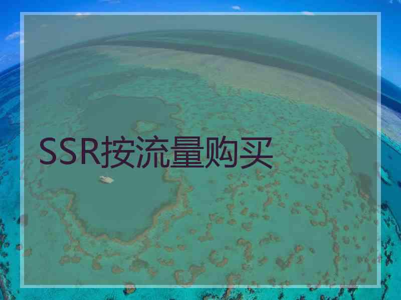 SSR按流量购买