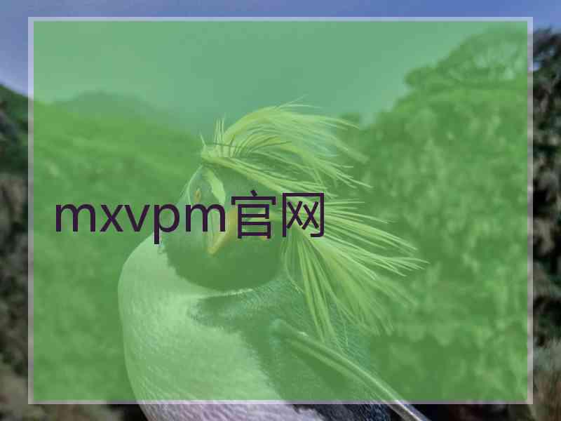 mxvpm官网