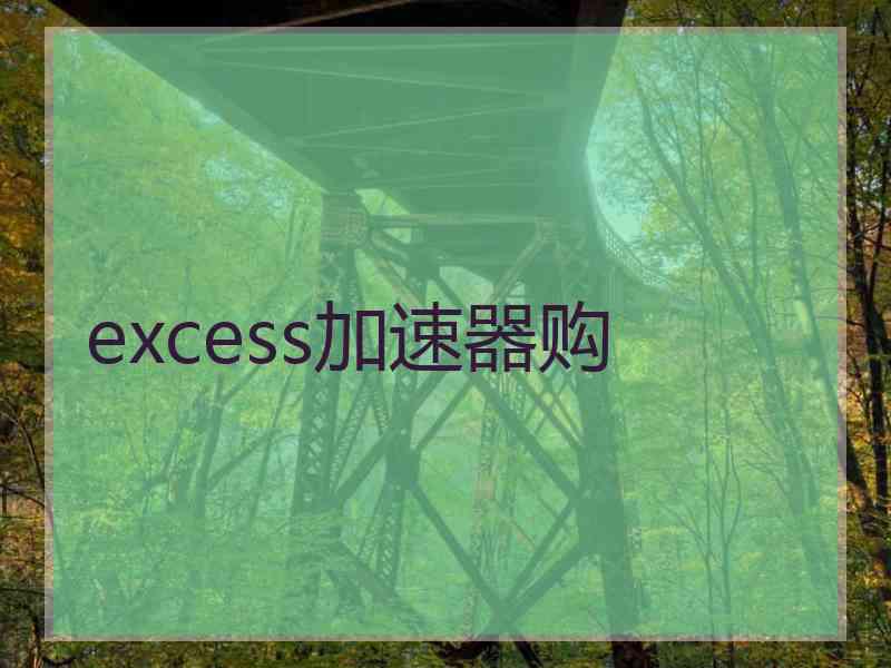 excess加速器购