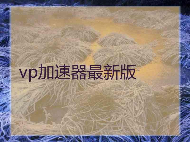vp加速器最新版