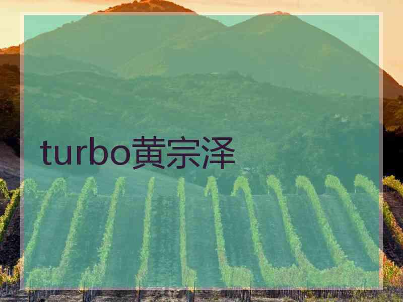 turbo黄宗泽