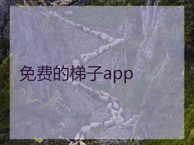 免费的梯子app