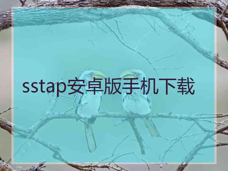 sstap安卓版手机下载