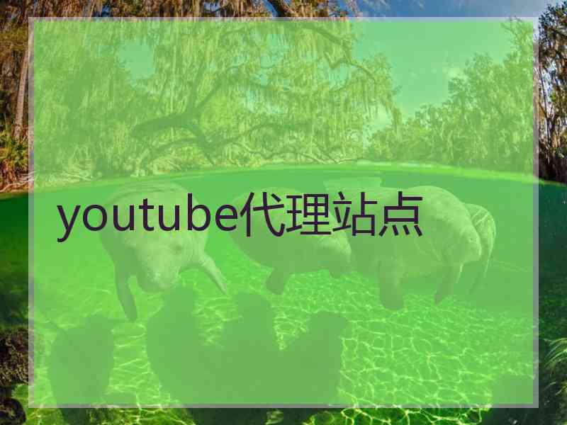 youtube代理站点