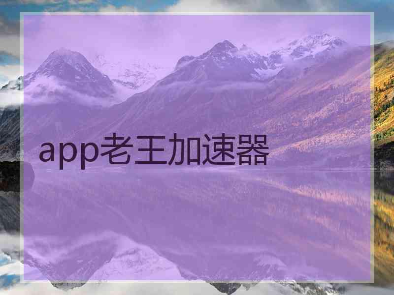 app老王加速器