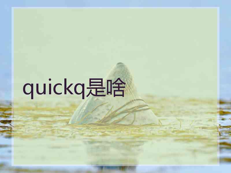 quickq是啥