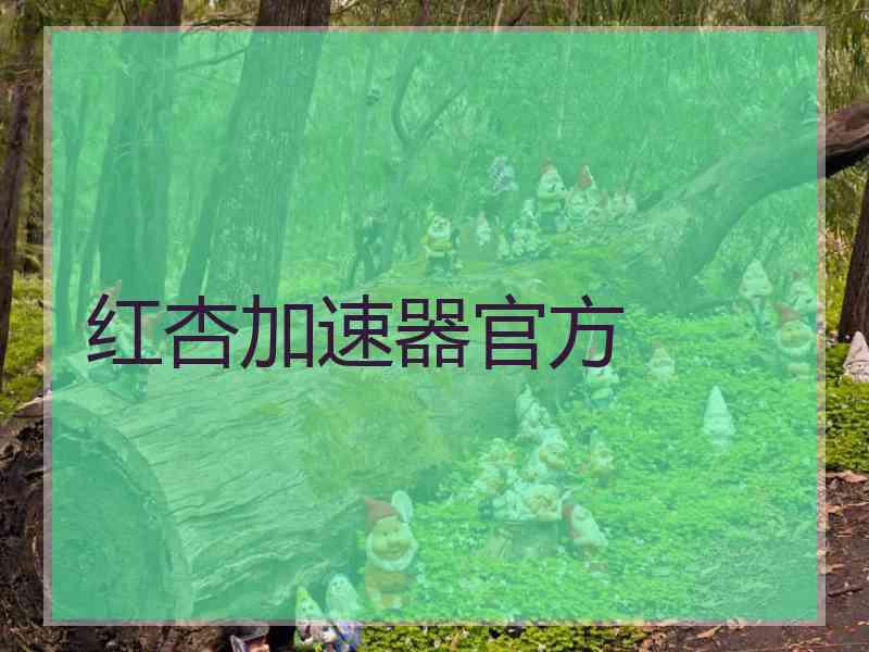 红杏加速器官方