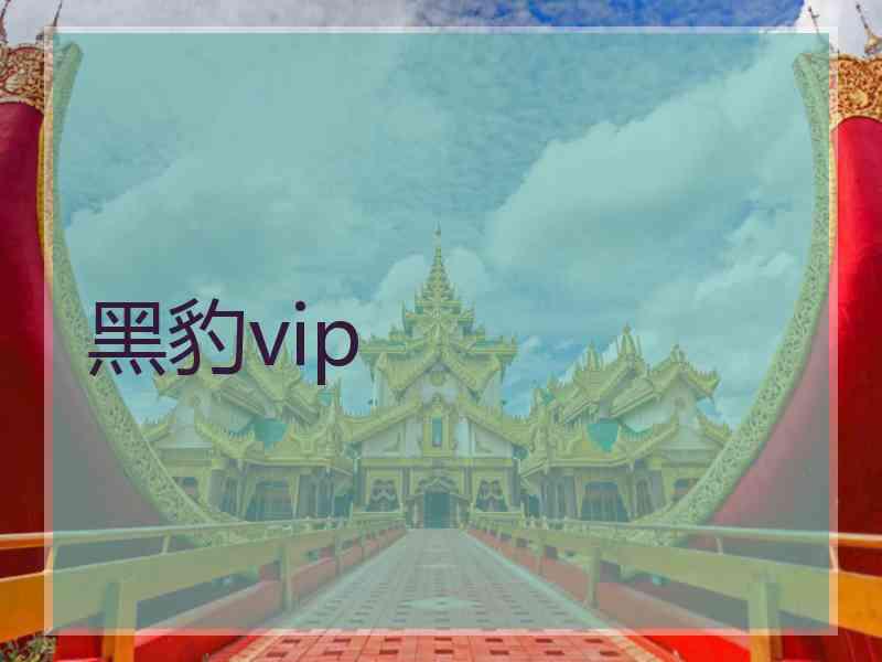 黑豹vip