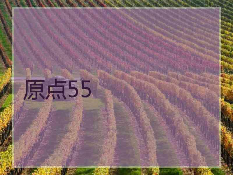 原点55