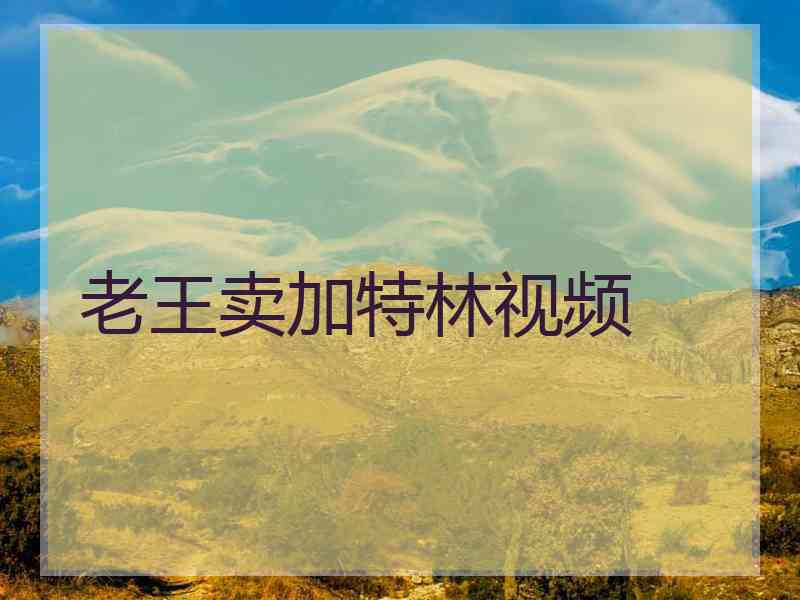 老王卖加特林视频
