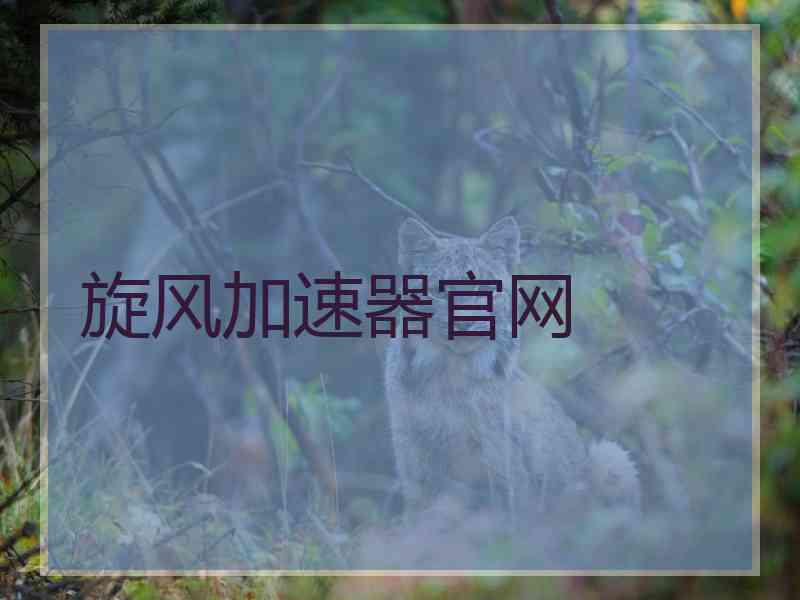 旋风加速器官网