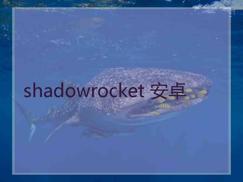 shadowrocket 安卓