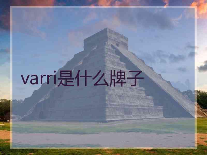 varri是什么牌子