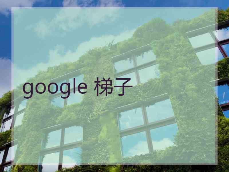 google 梯子