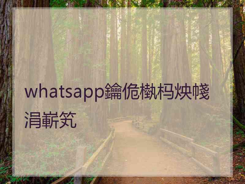 whatsapp鑰佹槸杩炴帴涓嶄笂