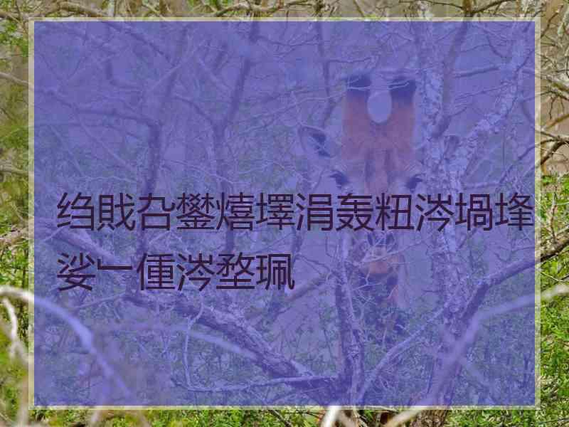 绉戝叴鐢熺墿涓轰粈涔堝埄娑﹂偅涔堥珮