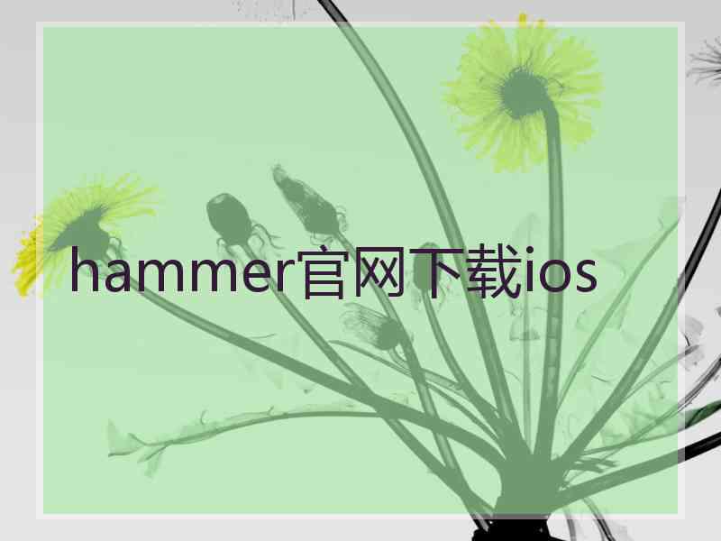hammer官网下载ios