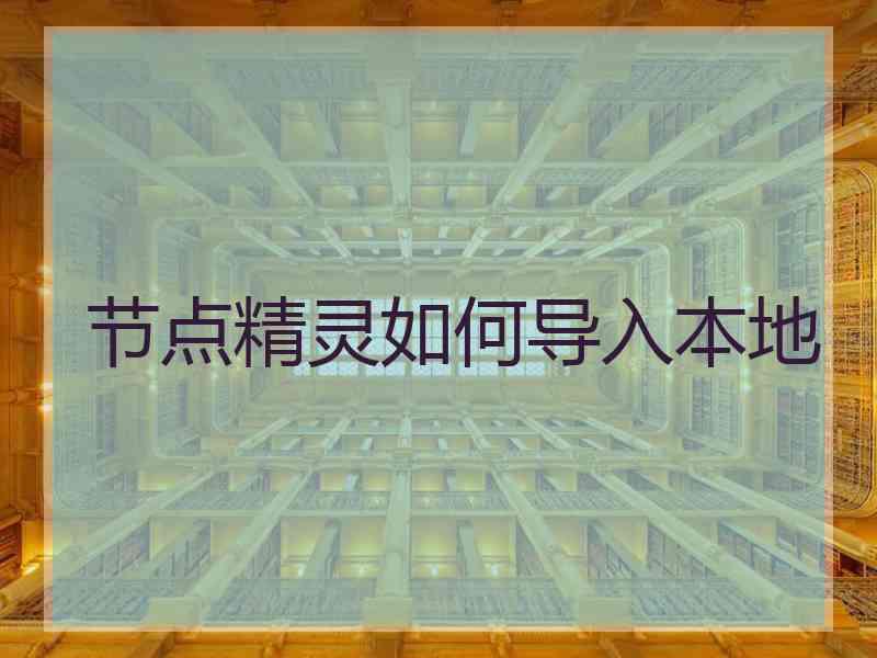 节点精灵如何导入本地