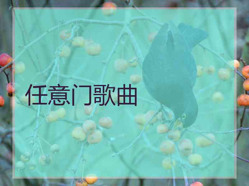 任意门歌曲