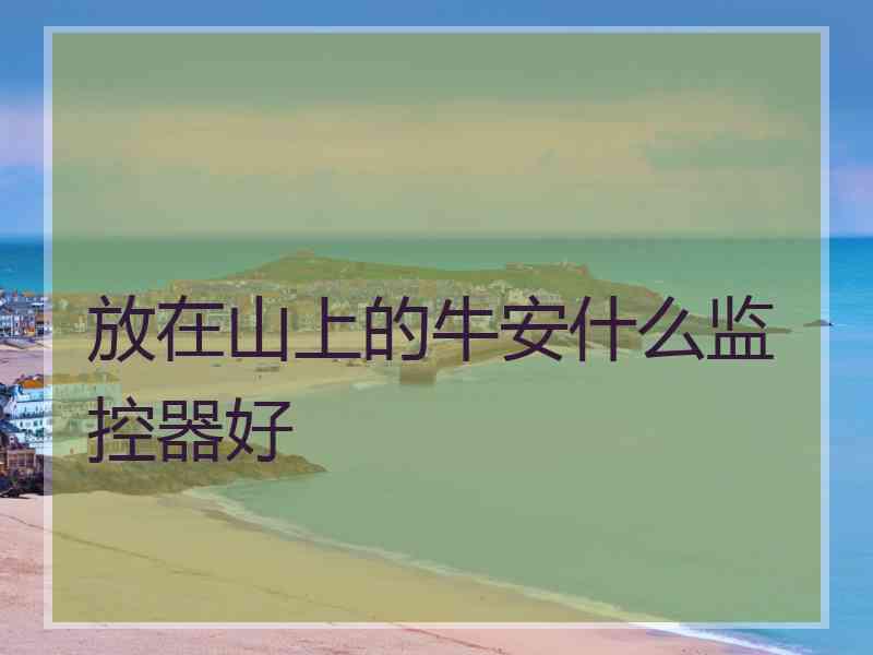 放在山上的牛安什么监控器好
