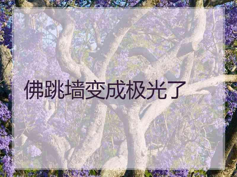 佛跳墙变成极光了