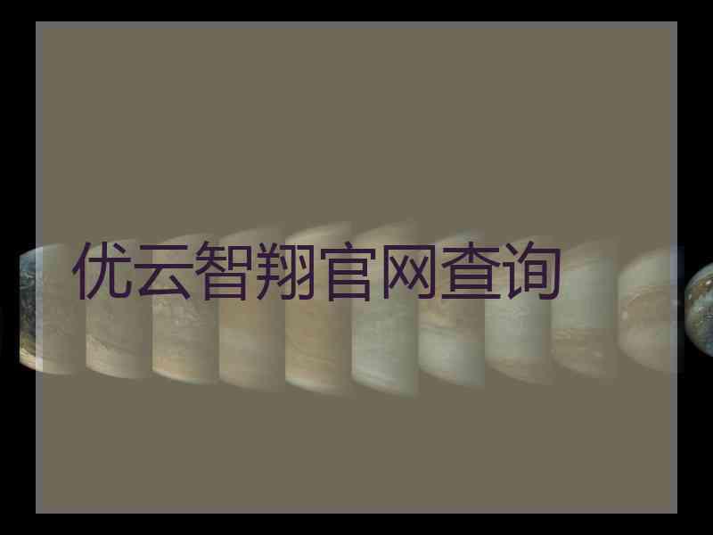 优云智翔官网查询