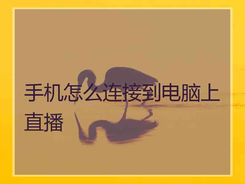 手机怎么连接到电脑上直播