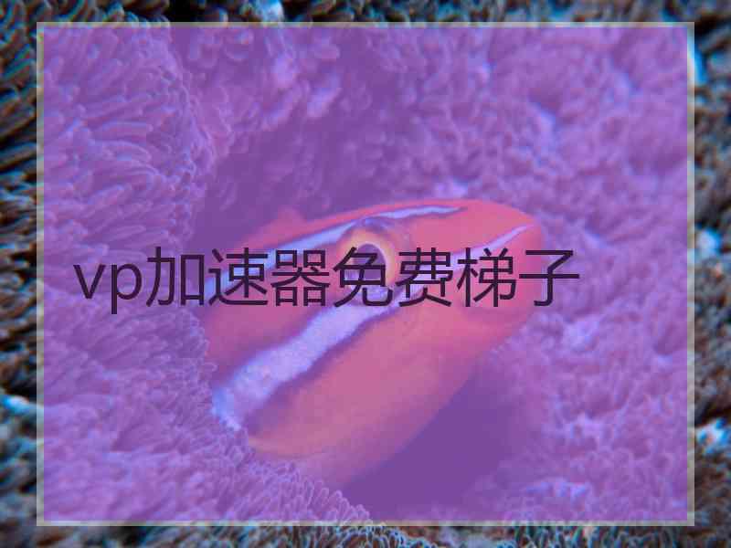 vp加速器免费梯子