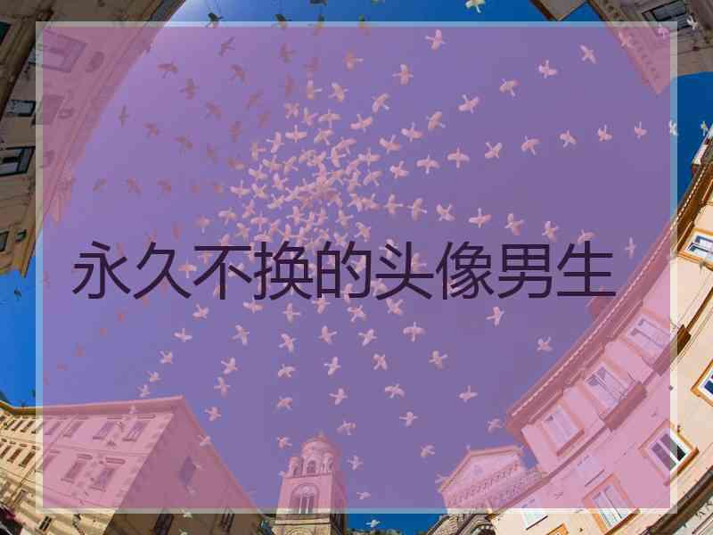 永久不换的头像男生