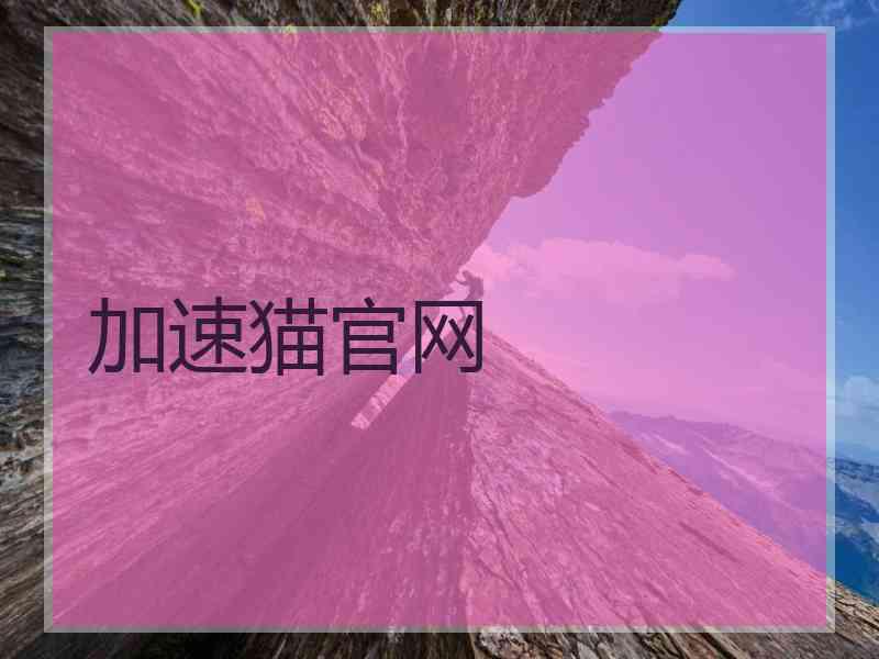 加速猫官网