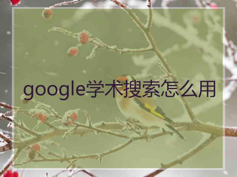google学术搜索怎么用