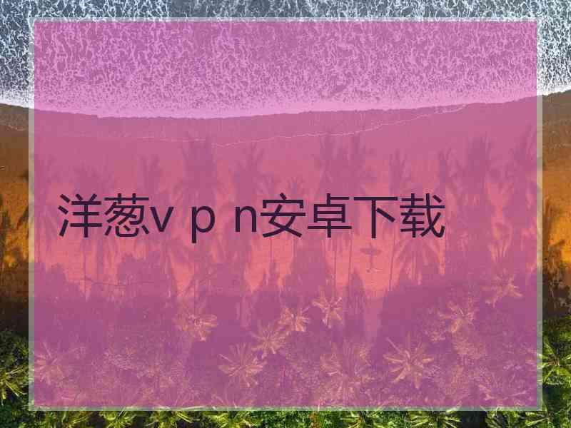 洋葱v p n安卓下载