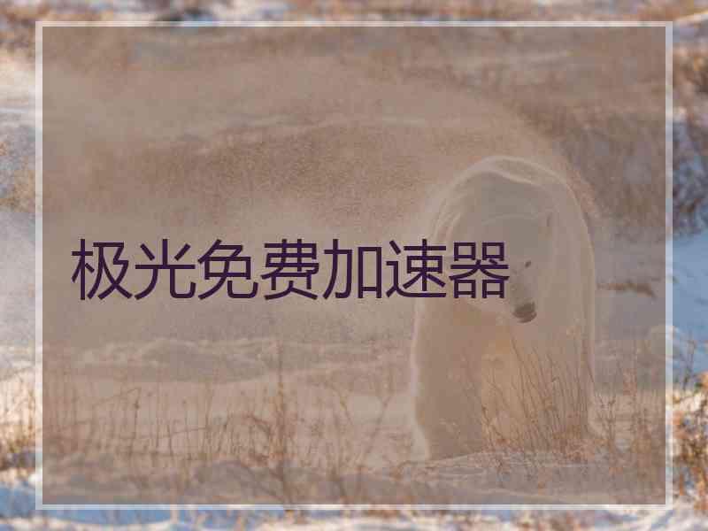 极光免费加速器