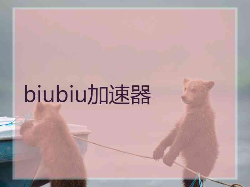 biubiu加速器