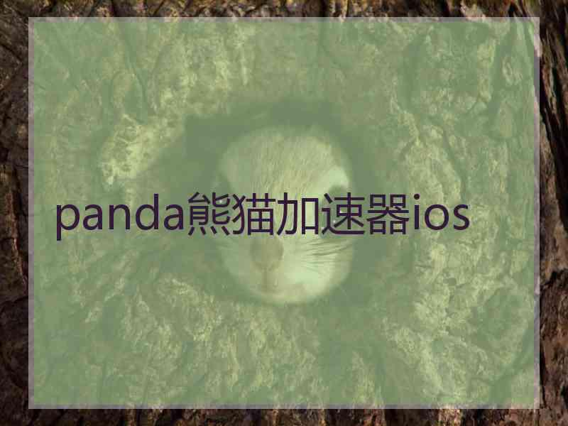 panda熊猫加速器ios