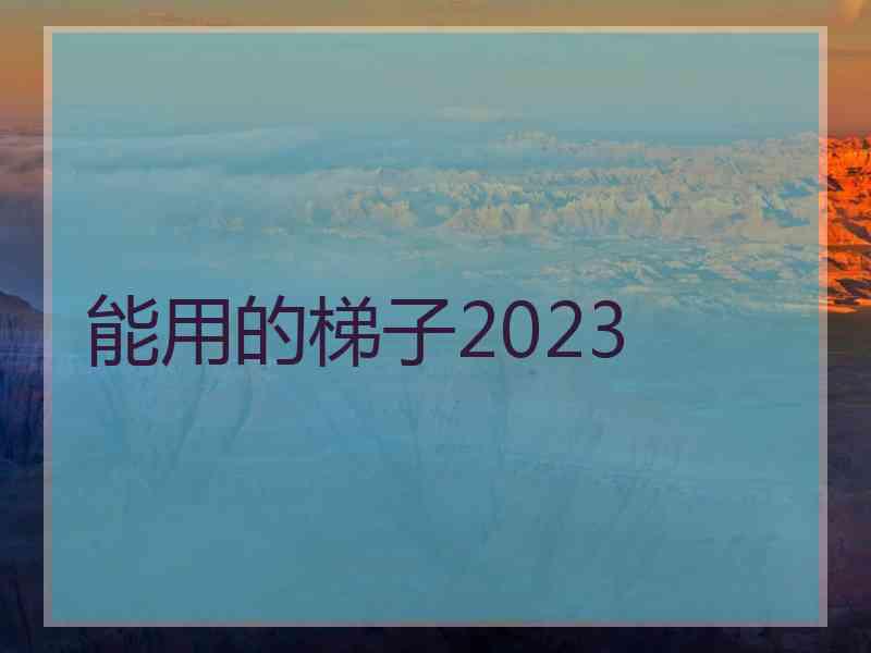 能用的梯子2023