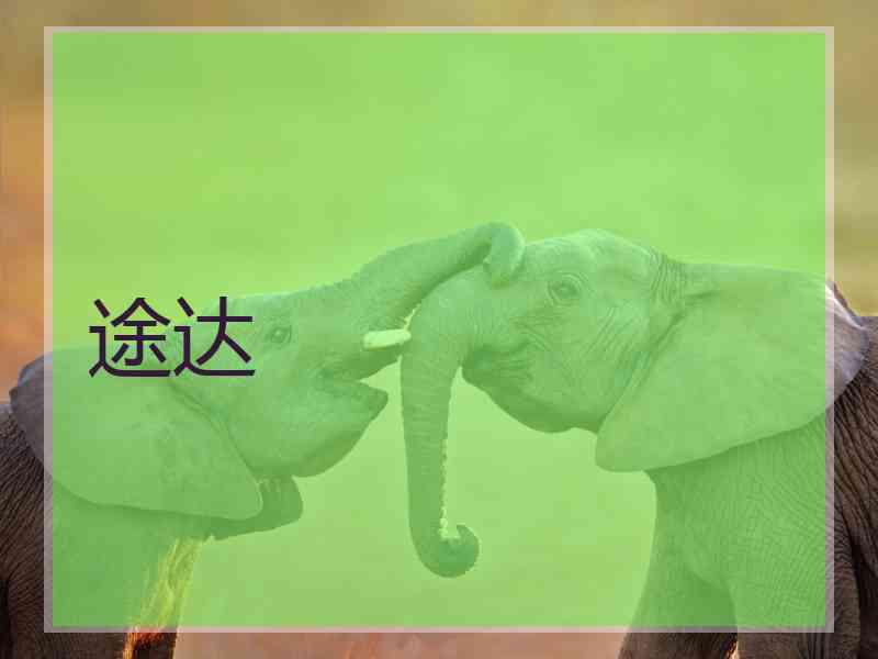 途达