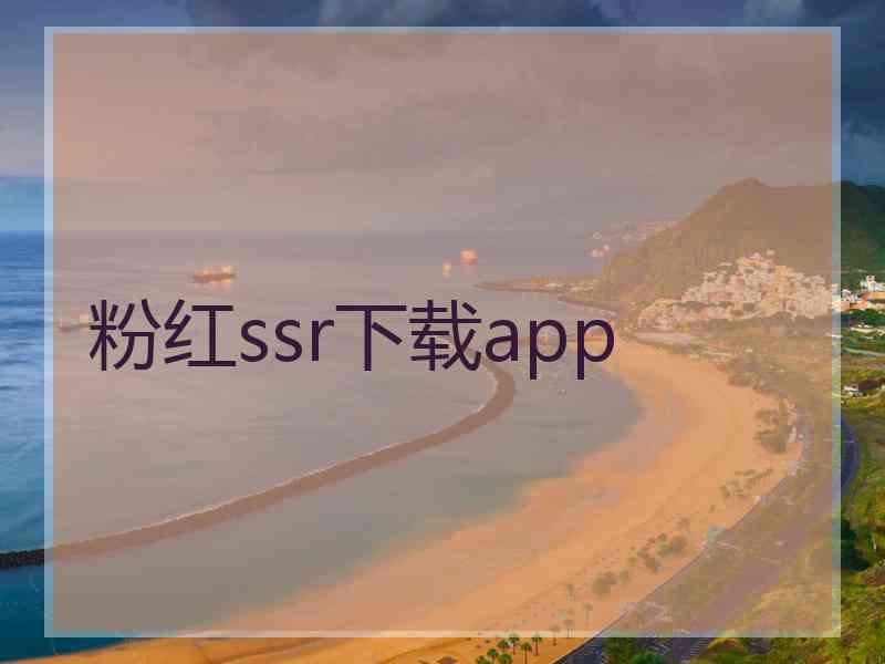 粉红ssr下载app