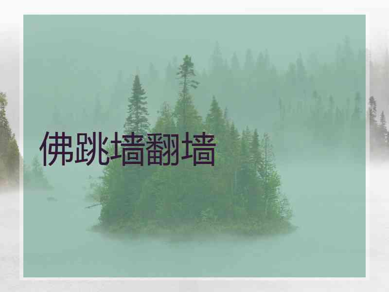 佛跳墙翻墙