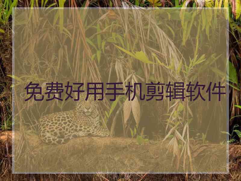 免费好用手机剪辑软件