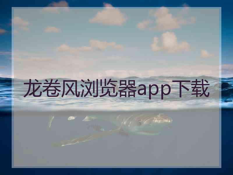 龙卷风浏览器app下载