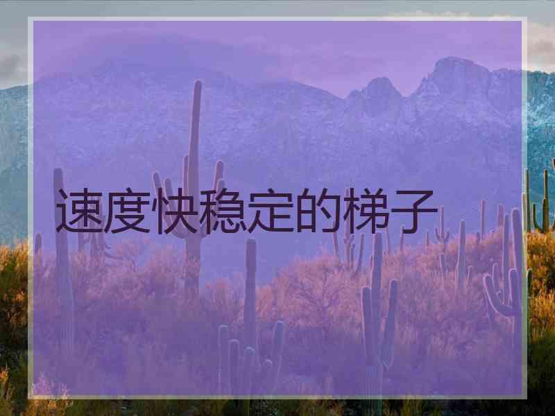 速度快稳定的梯子