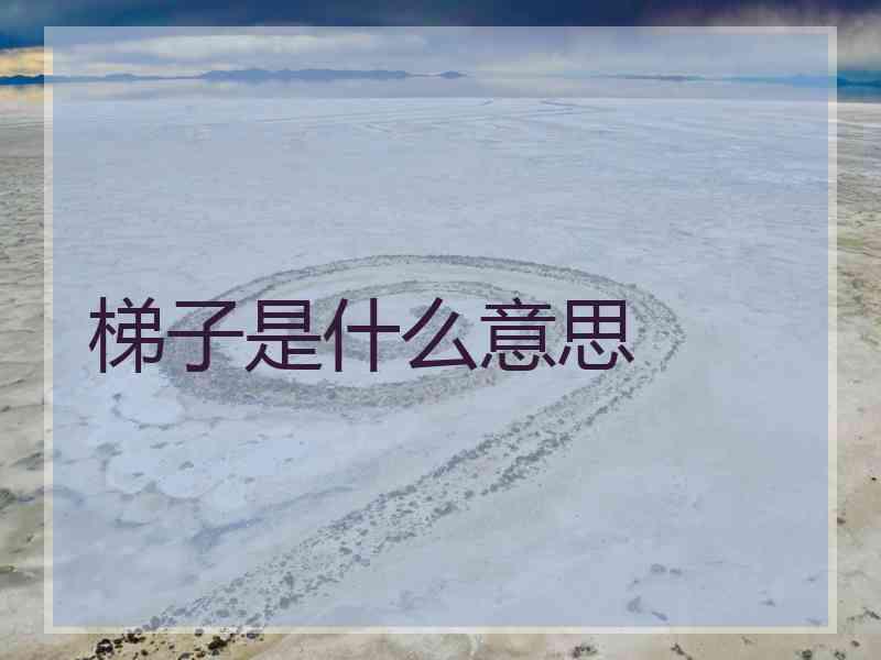 梯子是什么意思