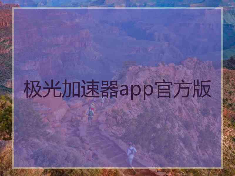 极光加速器app官方版