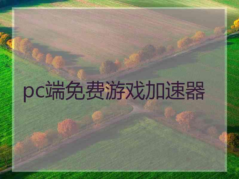 pc端免费游戏加速器