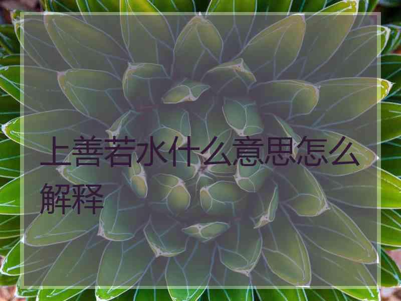上善若水什么意思怎么解释