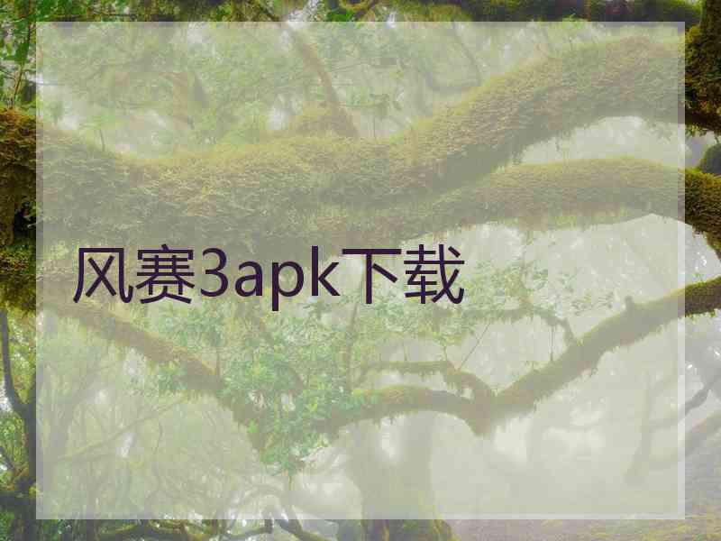 风赛3apk下载