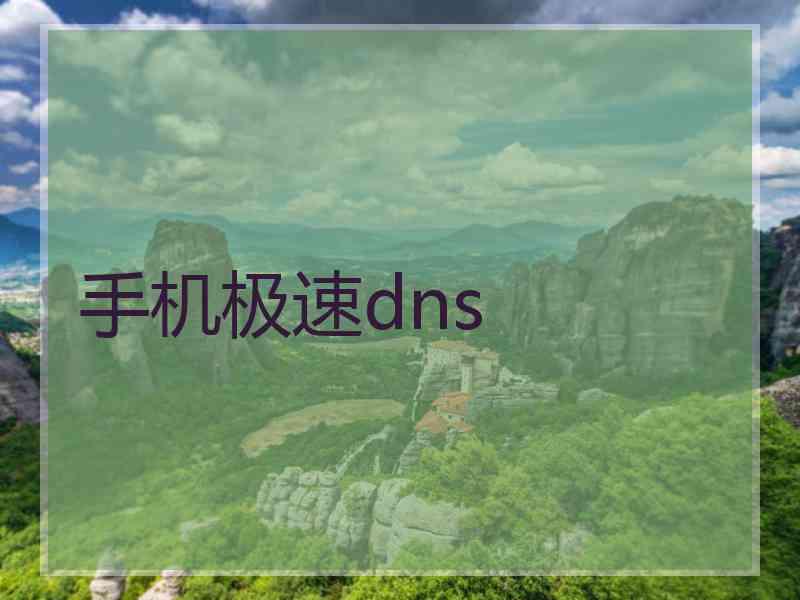 手机极速dns